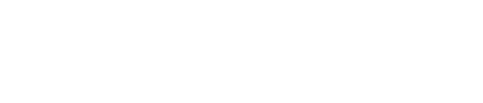 BCM Capital Management